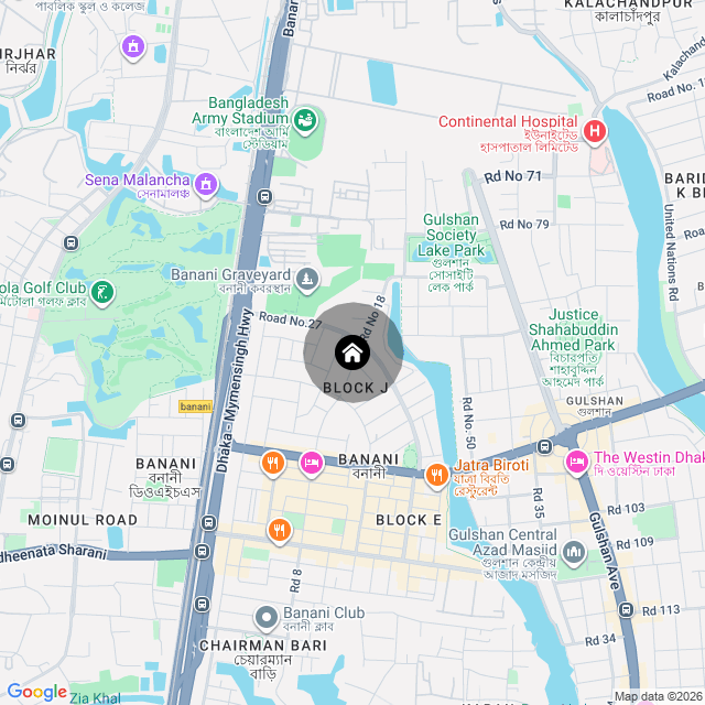Google Map