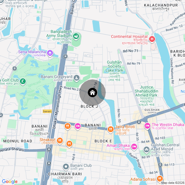Google Map