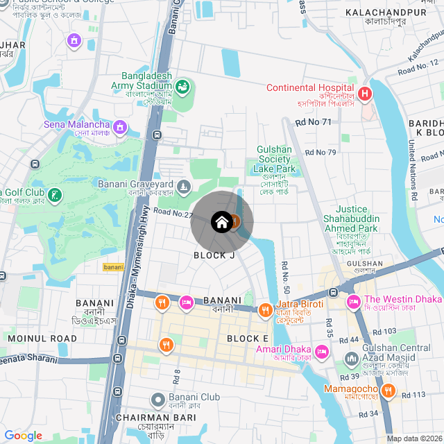 Google Map