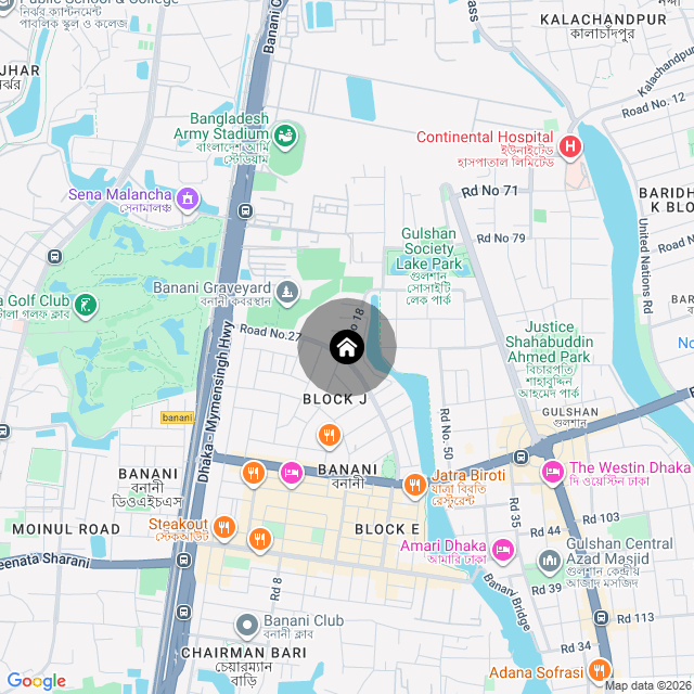 Google Map