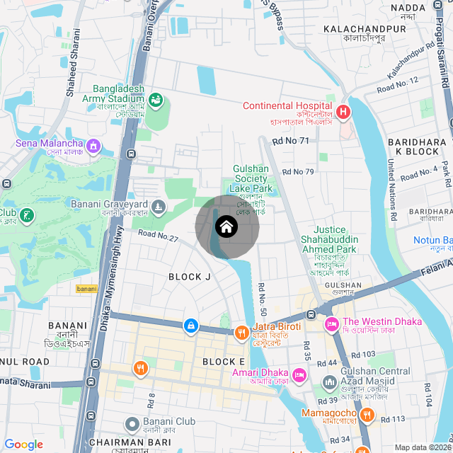 Google Map