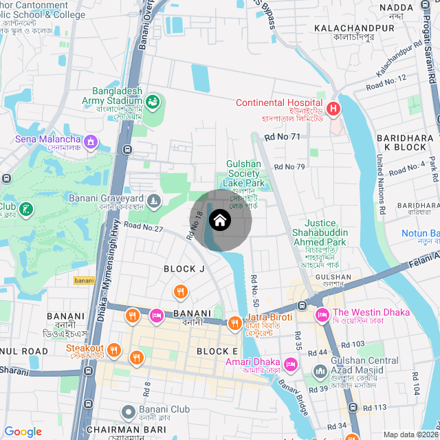 Google Map