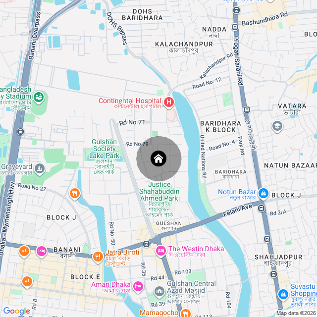 Google Map