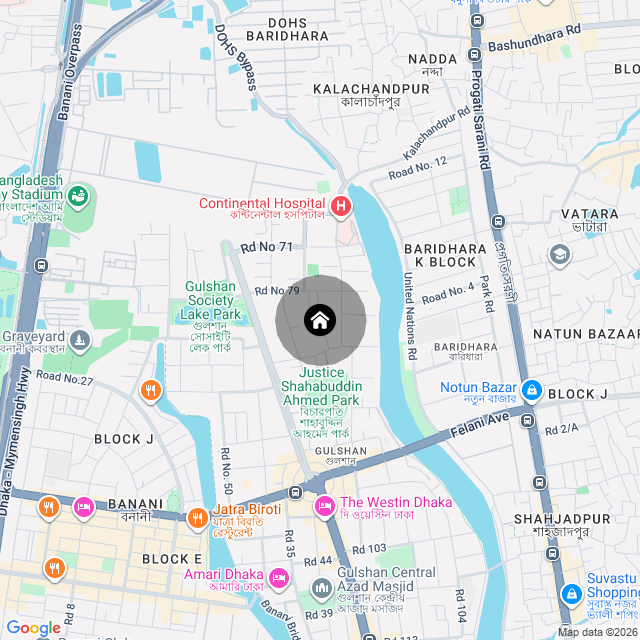 Google Map