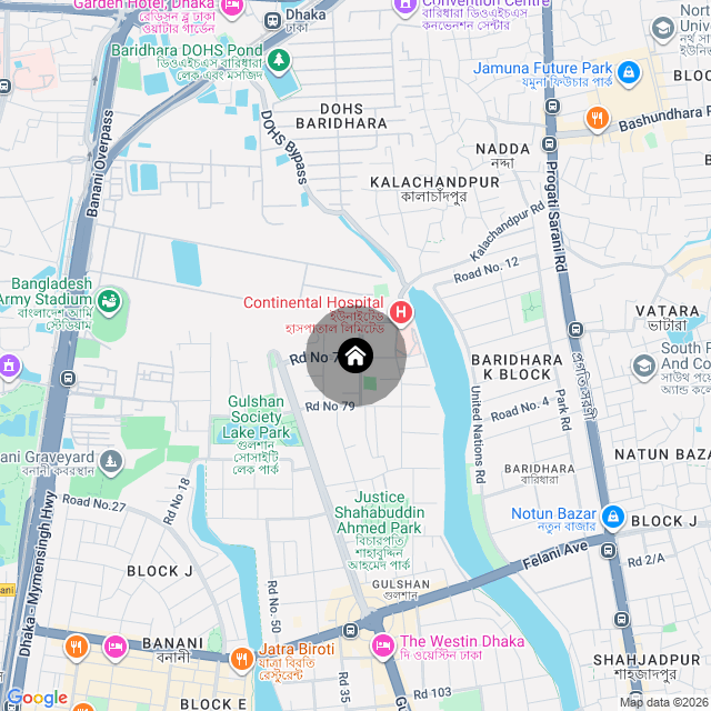 Google Map