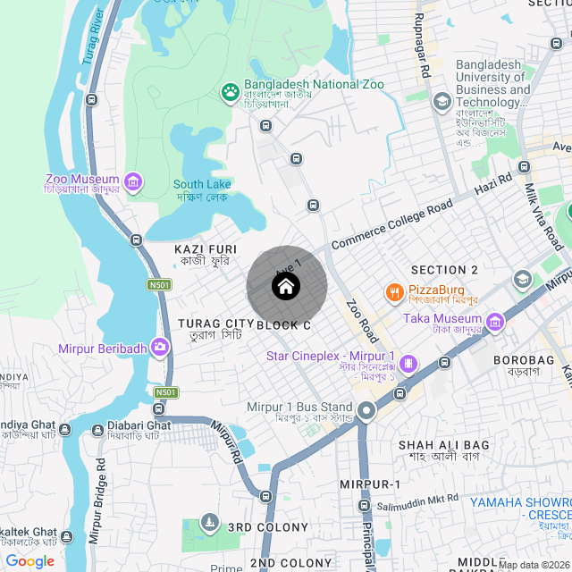 Google Map