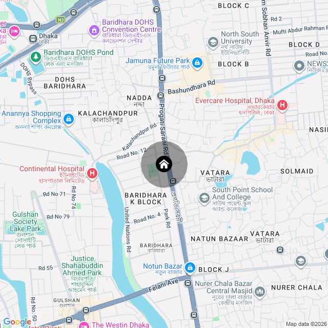 Google Map