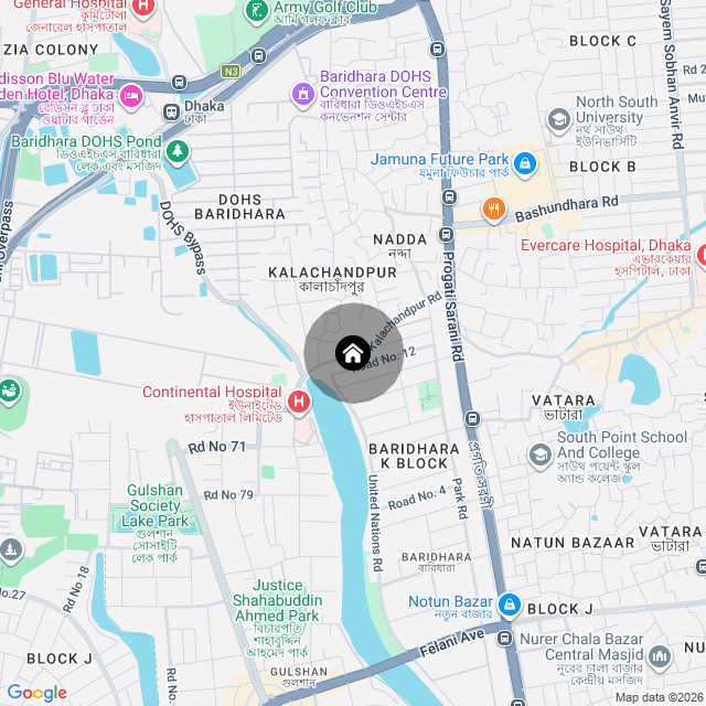 Google Map
