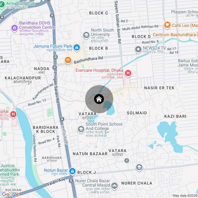 Google Map