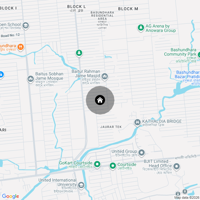 Google Map