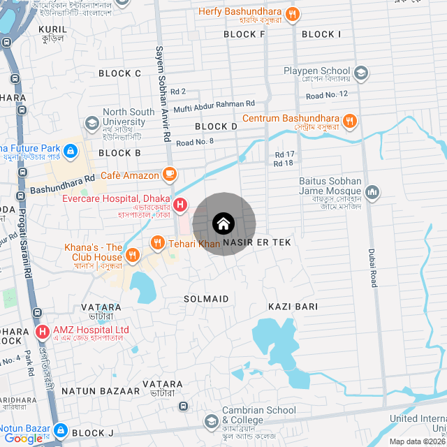 Google Map