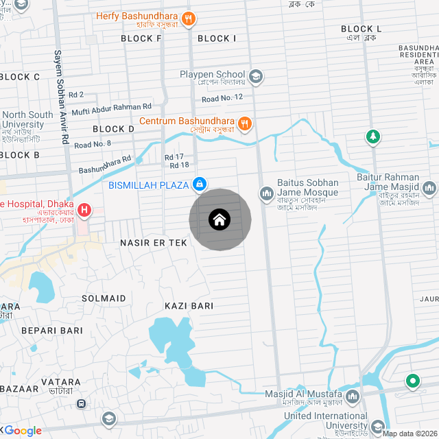 Google Map