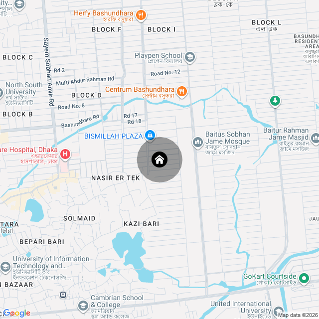 Google Map