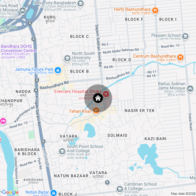 Google Map