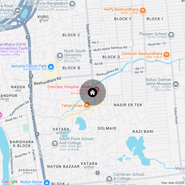 Google Map