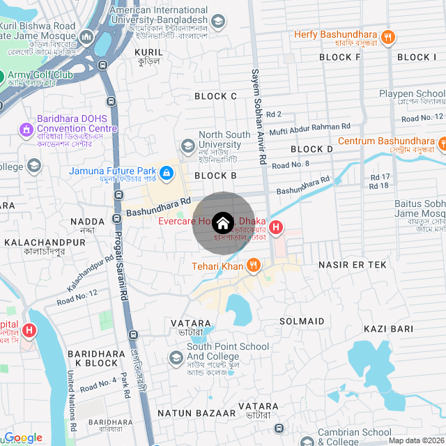 Google Map
