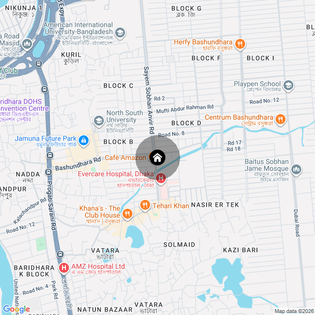 Google Map