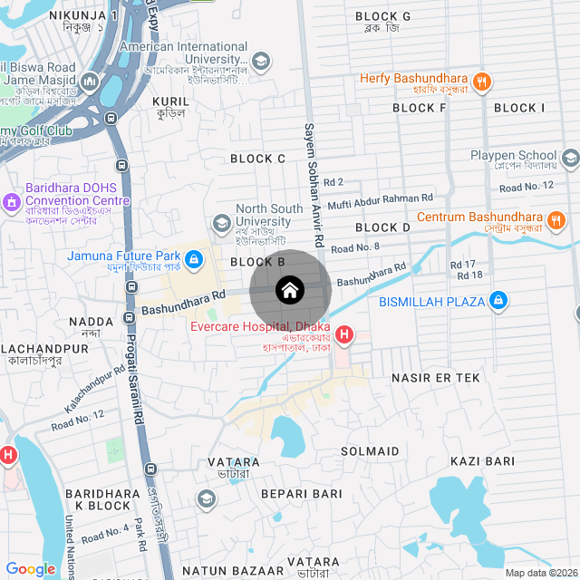 Google Map