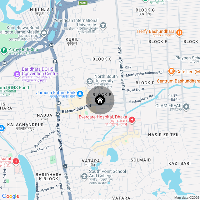 Google Map