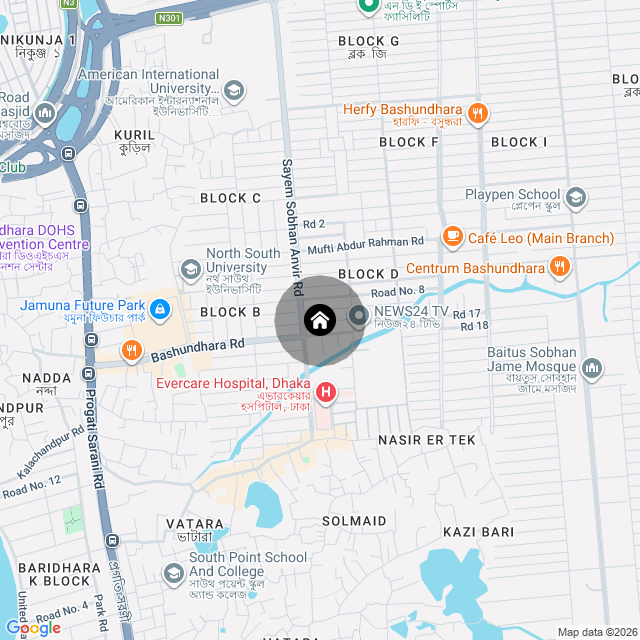 Google Map