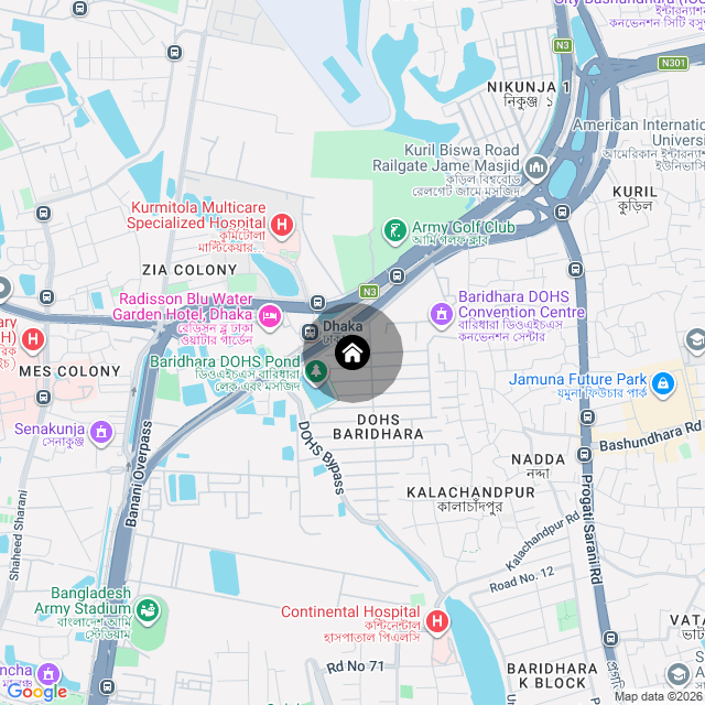 Google Map