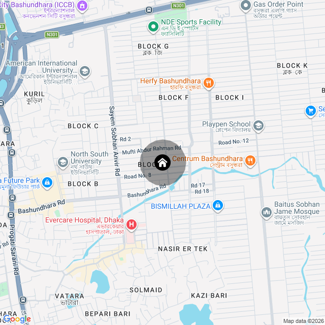 Google Map