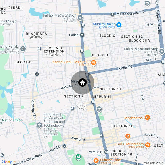 Google Map