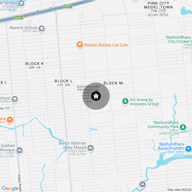 Google Map