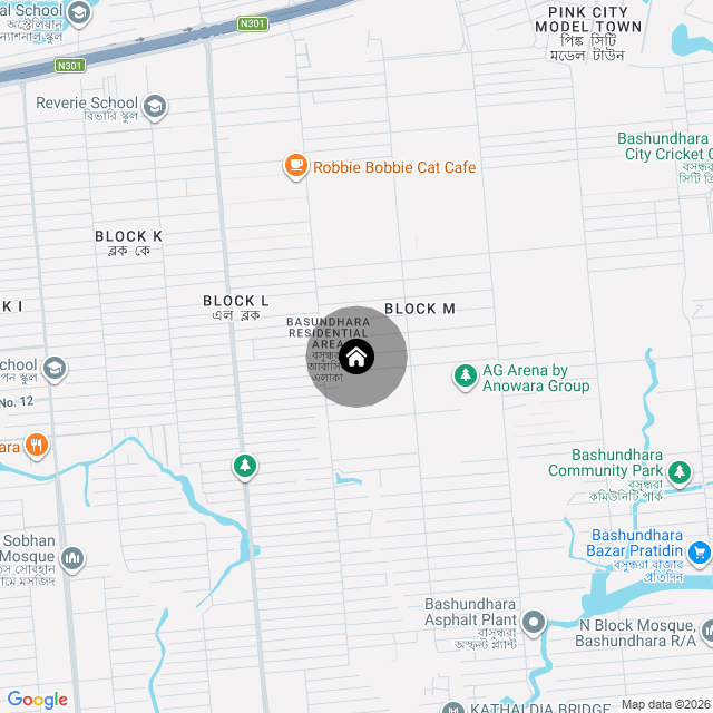Google Map