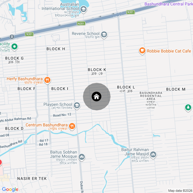 Google Map