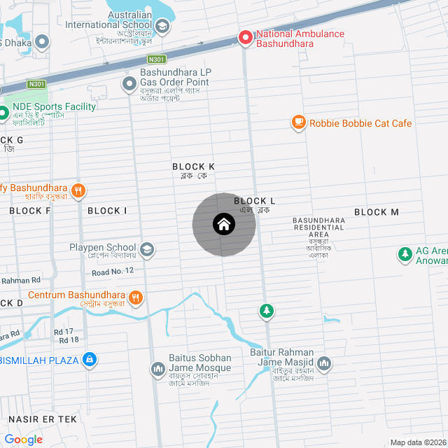 Google Map