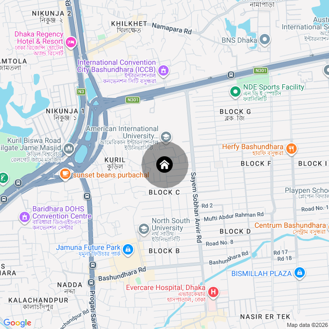 Google Map