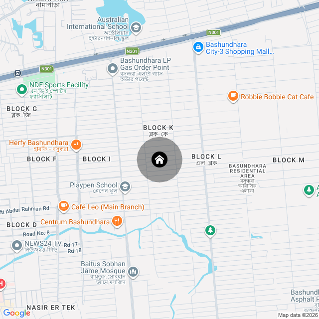 Google Map