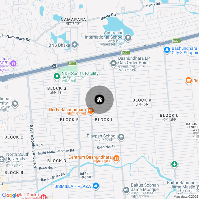 Google Map