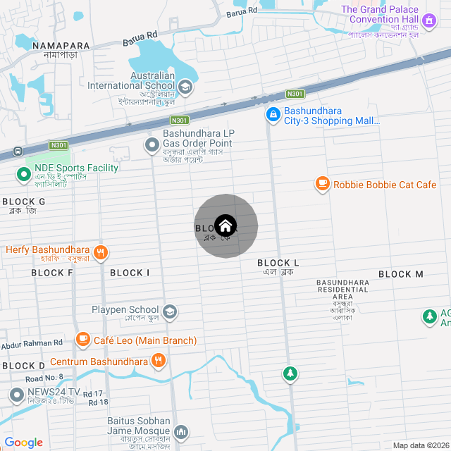 Google Map