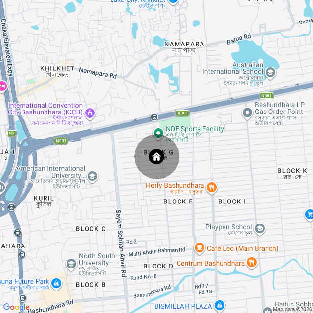 Google Map