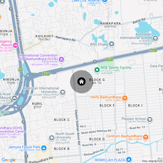 Google Map