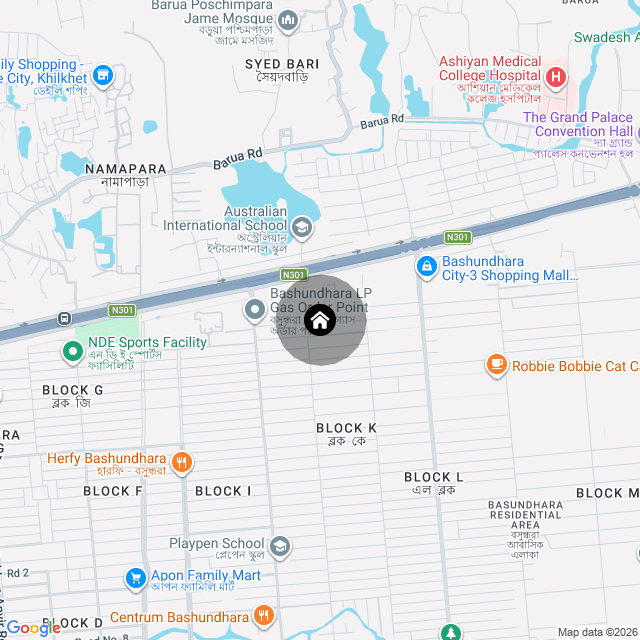 Google Map