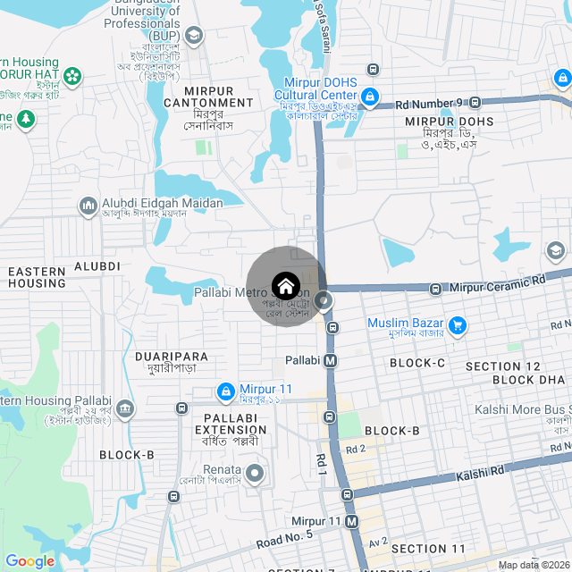 Google Map
