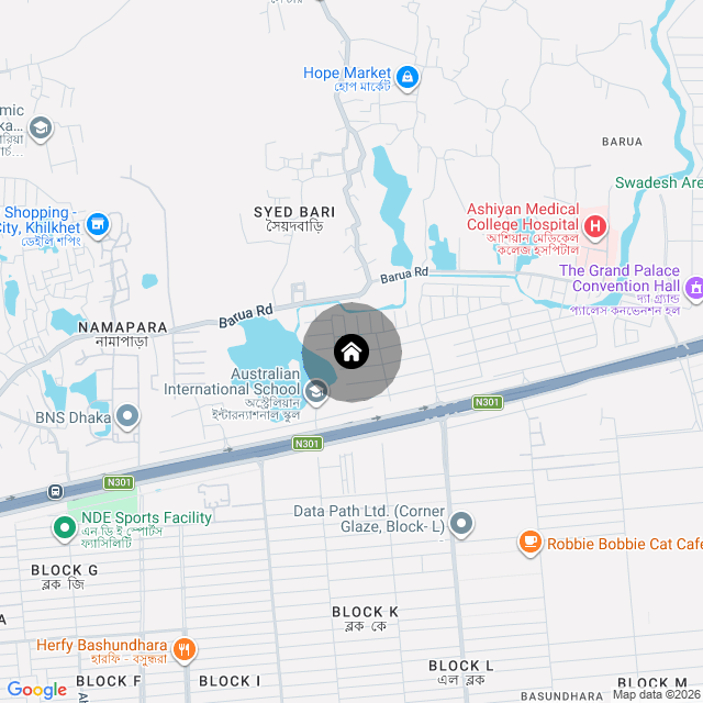 Google Map