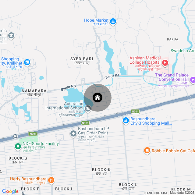 Google Map