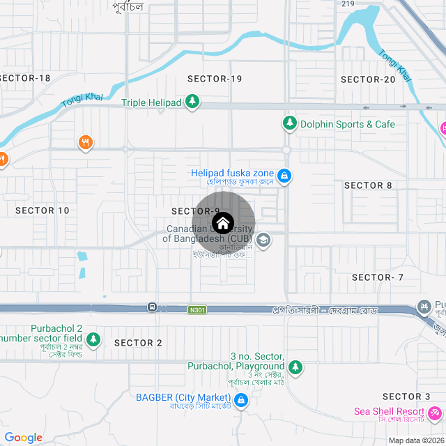 Google Map