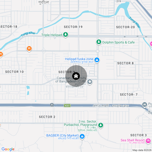 Google Map
