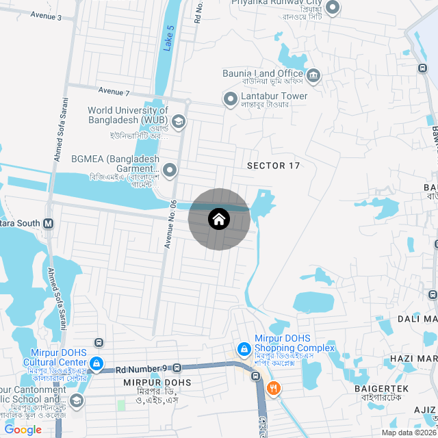 Google Map