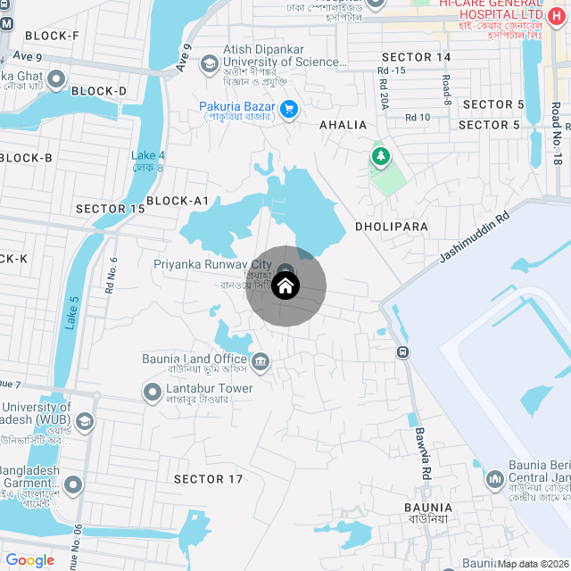 Google Map