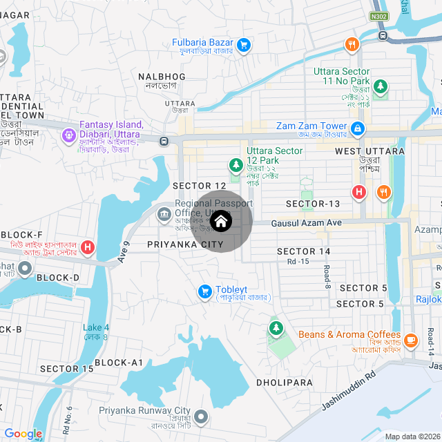 Google Map