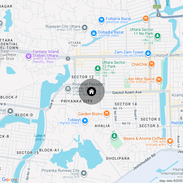 Google Map