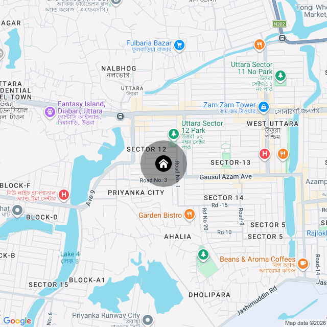 Google Map