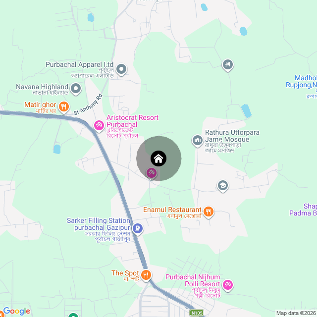 Google Map