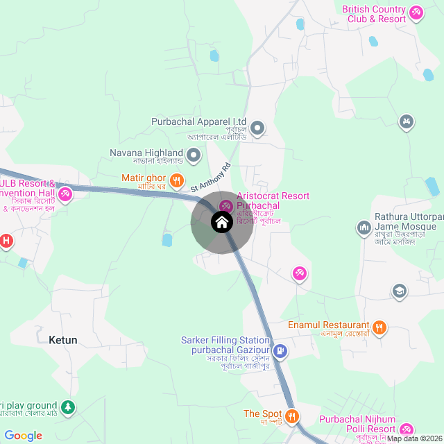 Google Map